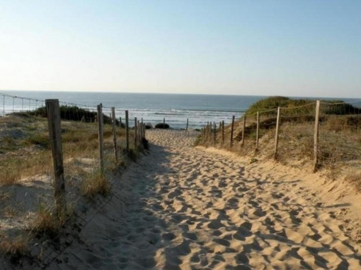 Appartement Renove Avec Balcon, Proche Plage Et Marche - 4 Pers, Calme & Confort A Seignosse - Fr-1-239-460 外观 照片