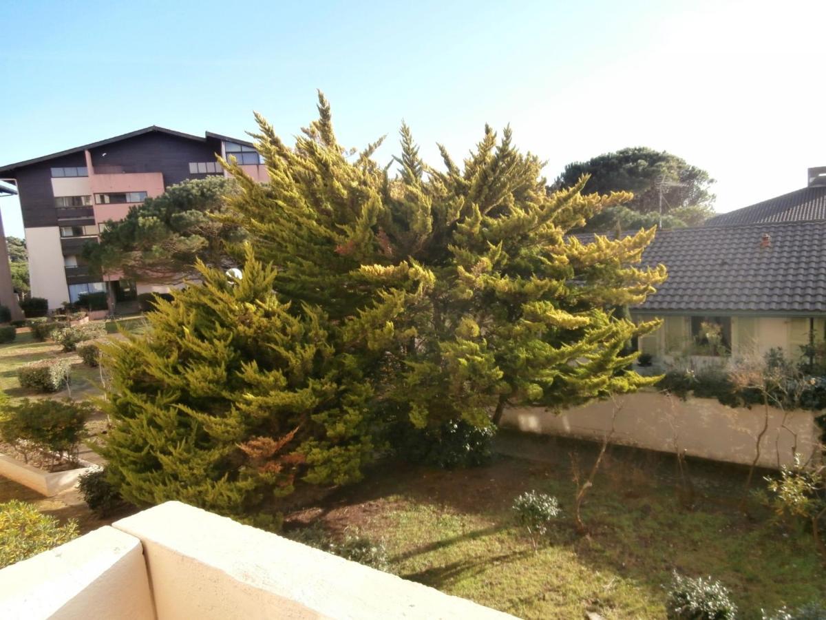 Appartement Renove Avec Balcon, Proche Plage Et Marche - 4 Pers, Calme & Confort A Seignosse - Fr-1-239-460 外观 照片